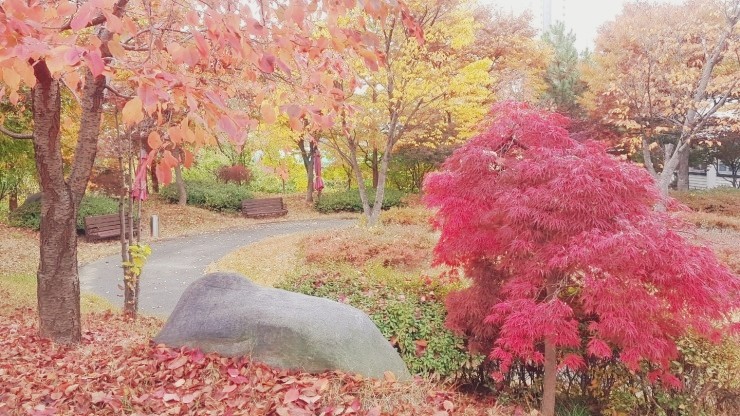 05.jpg