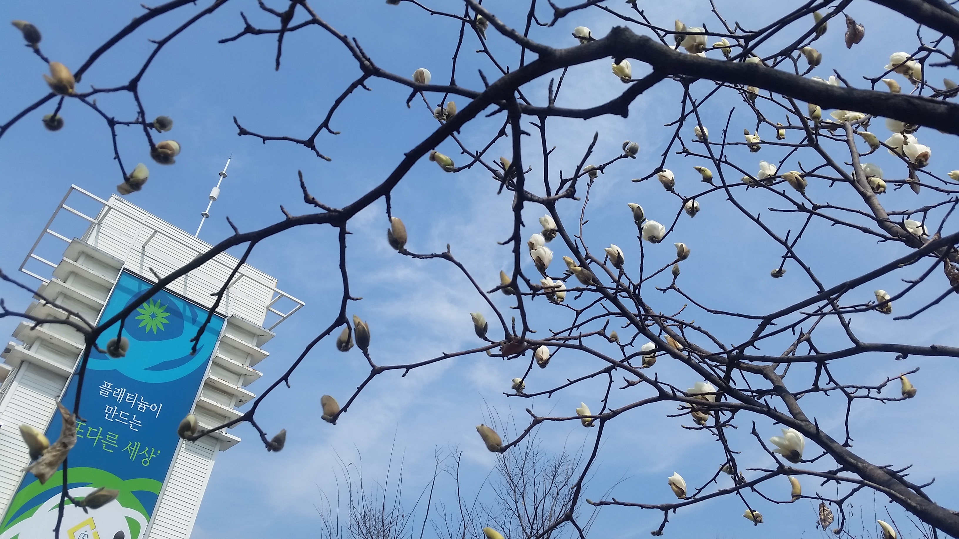 산책로 봄01.jpg