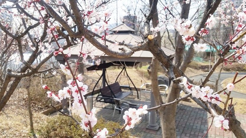 플래티늄 대전동부점 둘러보기